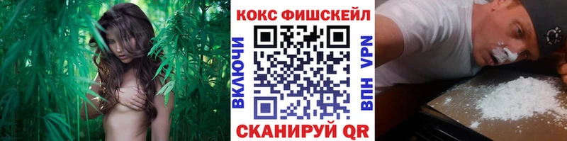 КОКАИН Боливия  сколько стоит  Порхов 