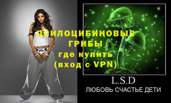 бошки Алзамай