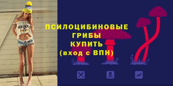 бошки Алзамай