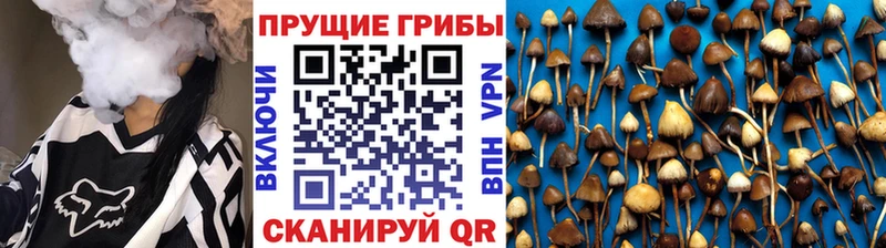 Галлюциногенные грибы прущие грибы  Порхов 