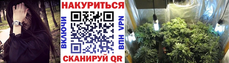 МАРИХУАНА план  Порхов 